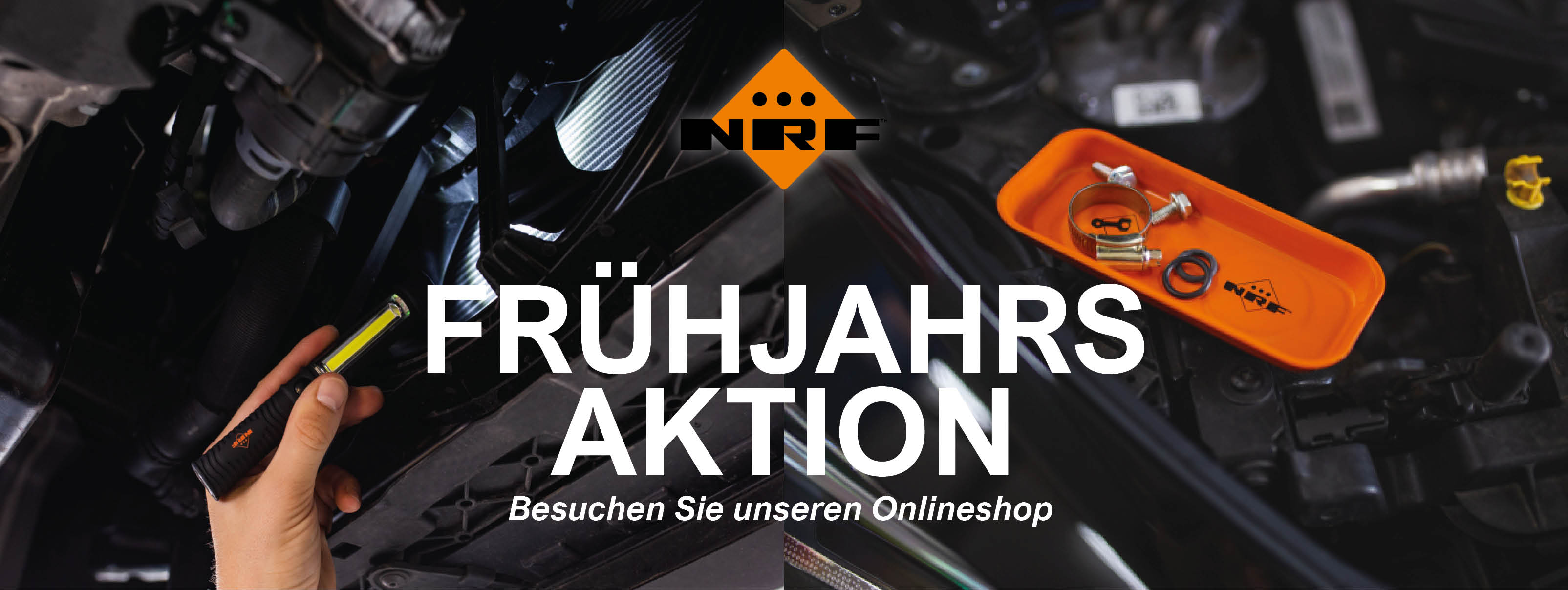 NRF_Frühjahrsaktion 1132x426.jpg